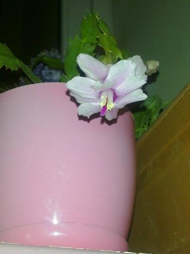 Name:  11122012982.jpg
Views: 504
Size:  16.8 KB