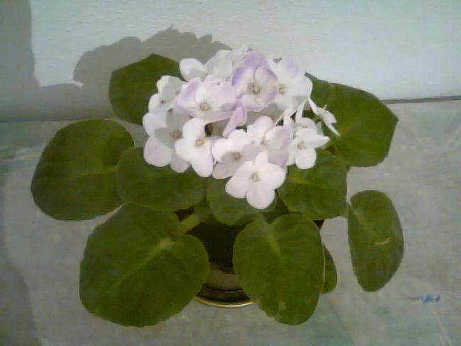 Name:  Fotoraf1054.jpg
Views: 1019
Size:  25.8 KB