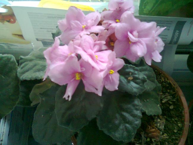 Name:  Fotoraf0915.jpg
Views: 948
Size:  40.6 KB