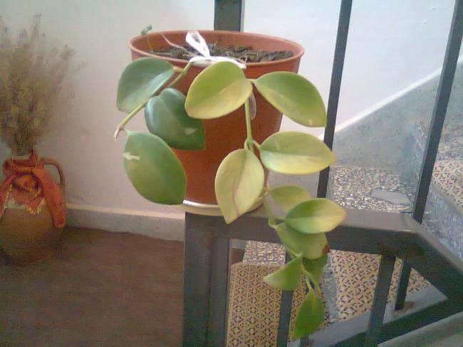 Name:  Fotoraf1193.jpg
Views: 876
Size:  37.8 KB