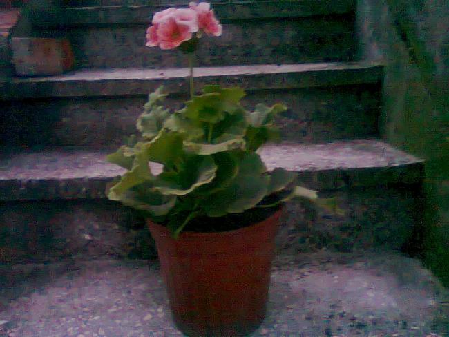 Name:  Fotoraf1201.jpg
Views: 1176
Size:  46.3 KB