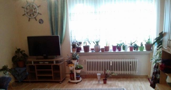 Name:  aviary_1358258409044.jpg
Views: 800
Size:  26.6 KB