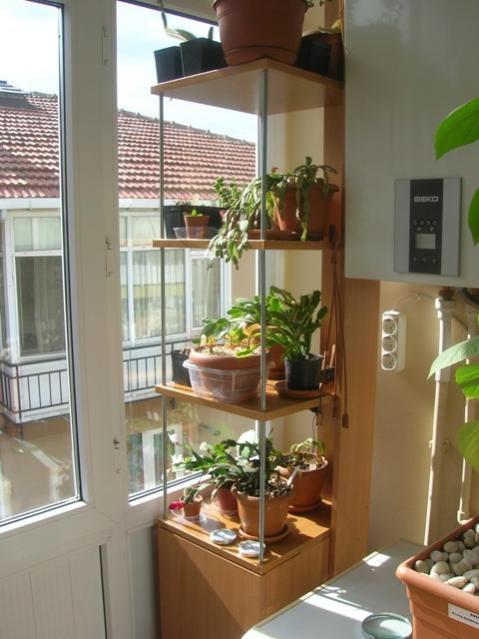 Name:  DSCN2766.jpg
Views: 12690
Size:  44.2 KB