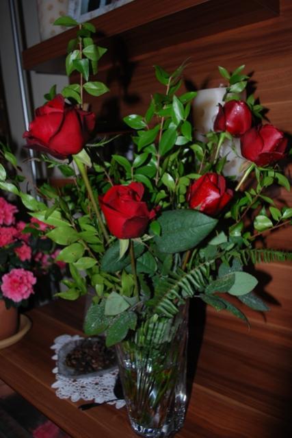Name:  DSC_0322.jpg
Views: 2145
Size:  42.0 KB