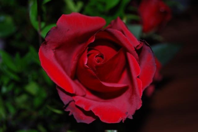 Name:  DSC_0326.jpg
Views: 971
Size:  20.9 KB