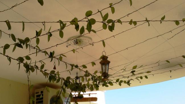 Name:  251220121901.jpg
Views: 2879
Size:  35.8 KB