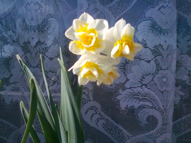 Name:  Fotoraf1533.jpg
Views: 663
Size:  59.6 KB