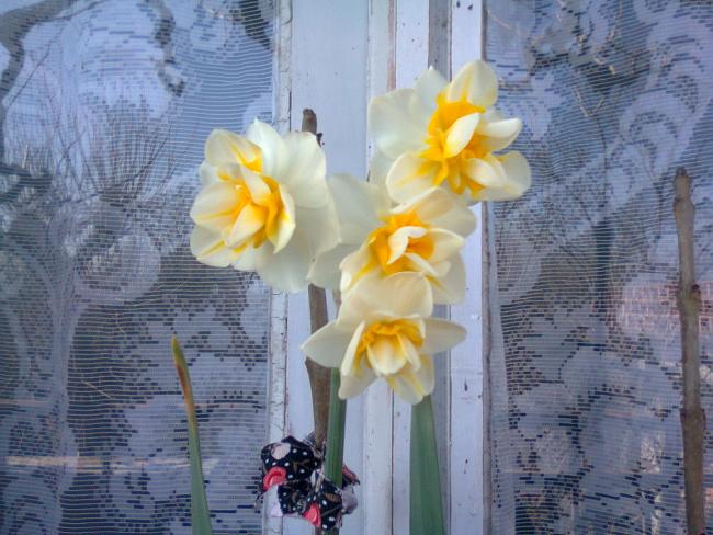 Name:  Fotoraf1663.jpg
Views: 662
Size:  55.8 KB