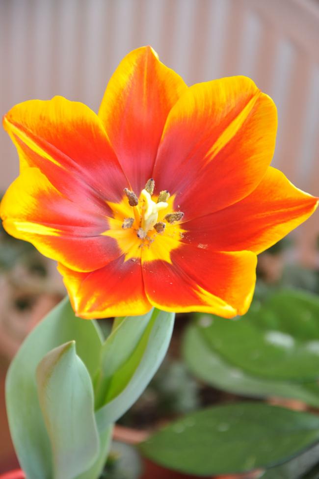 Name:  DSC_8131.jpg
Views: 644
Size:  51.4 KB