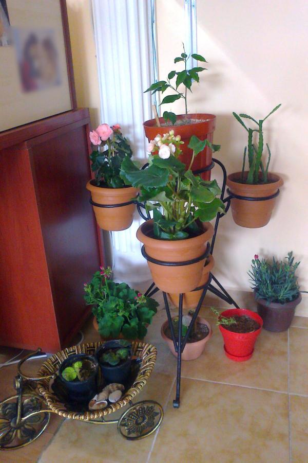 Name:  Fotoraf0176.jpg
Views: 653
Size:  71.5 KB