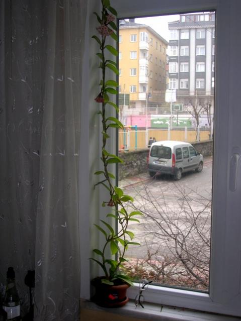 Name:  DSCN2811.jpg
Views: 1720
Size:  39.9 KB