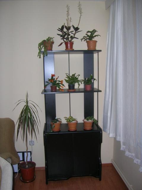 Name:  DSCN2815.jpg
Views: 1669
Size:  29.4 KB