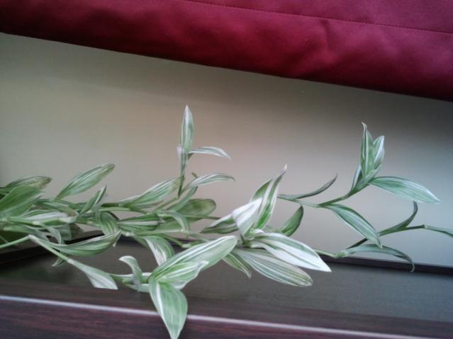 Name:  20130305_114908.jpg
Views: 1609
Size:  29.5 KB