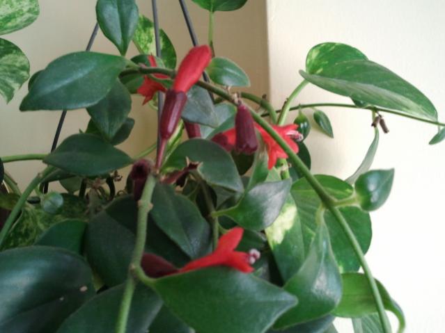 Name:  20130305_115201.jpg
Views: 1676
Size:  34.7 KB