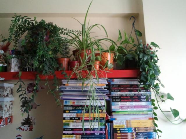 Name:  20130305_115242.jpg
Views: 1679
Size:  50.4 KB