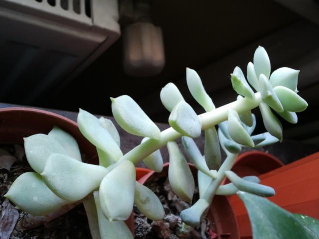 Name:  20130305_115325.jpg
Views: 1760
Size:  32.9 KB