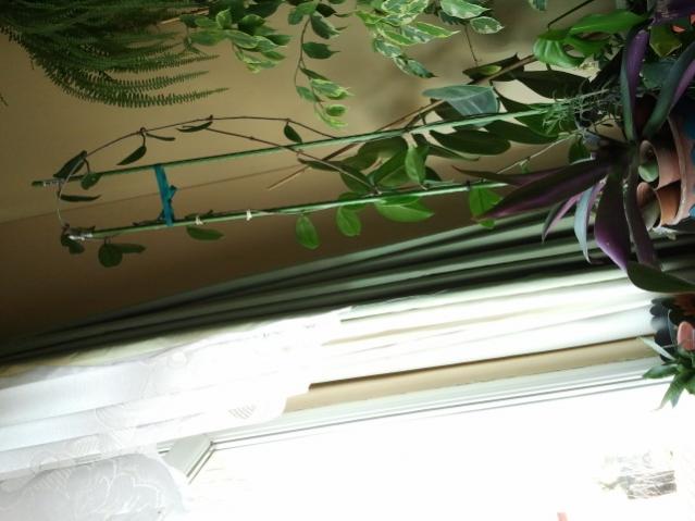 Name:  20130305_115423.jpg
Views: 1674
Size:  39.2 KB