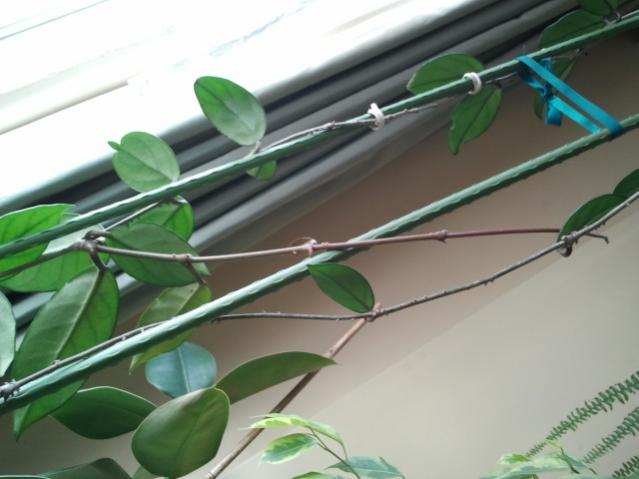 Name:  20130305_115503.jpg
Views: 1691
Size:  34.9 KB