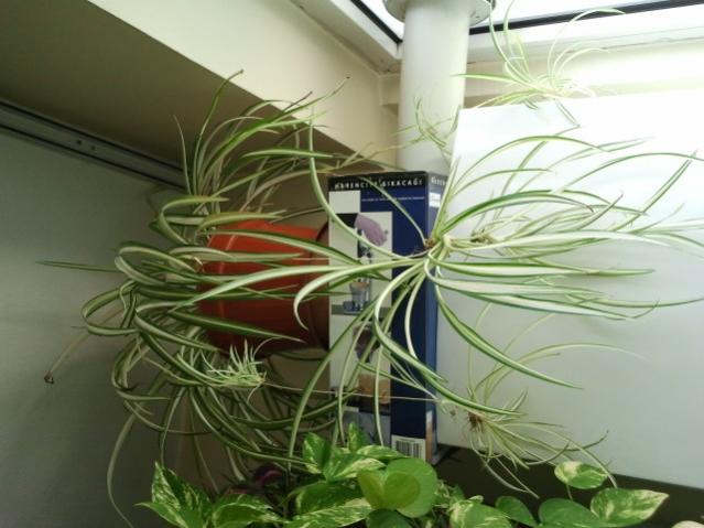 Name:  20130305_120051.jpg
Views: 1590
Size:  43.5 KB