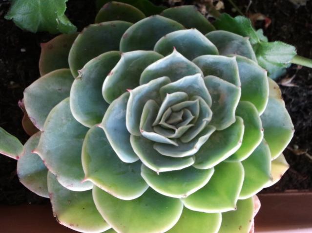 Name:  20130305_120404.jpg
Views: 1624
Size:  40.9 KB