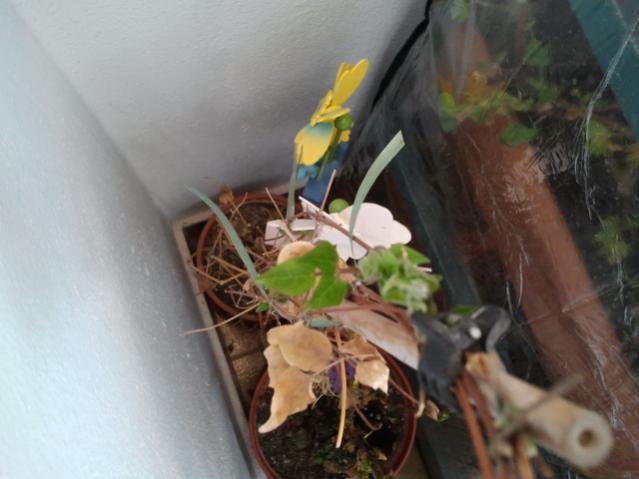 Name:  20130305_120628.jpg
Views: 1546
Size:  34.7 KB
