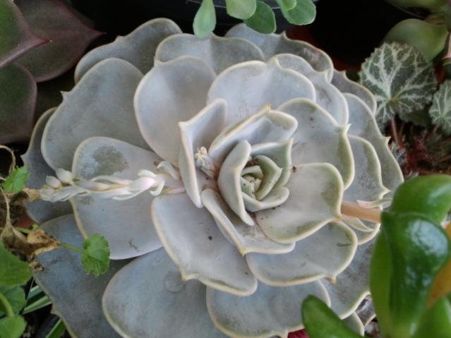 Name:  20130305_120859.jpg
Views: 1830
Size:  38.7 KB