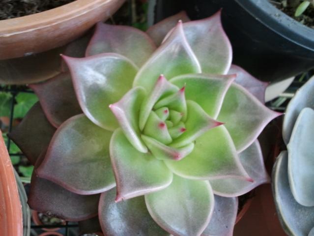 Name:  20130305_120909.jpg
Views: 1611
Size:  35.4 KB