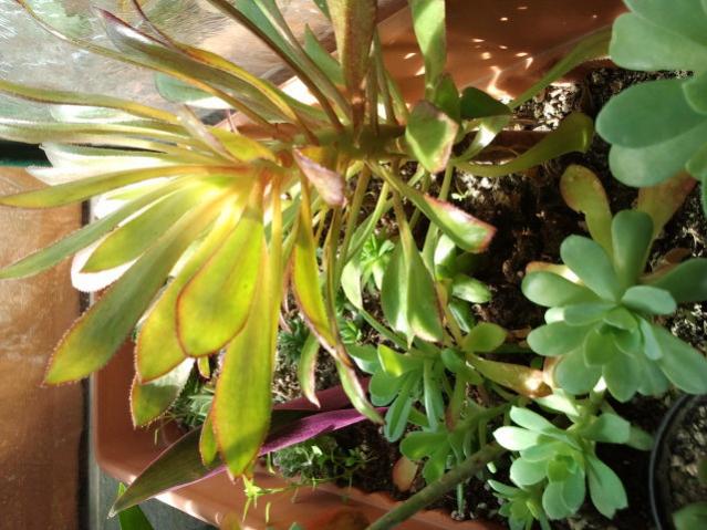 Name:  20130305_122636.jpg
Views: 1631
Size:  56.1 KB