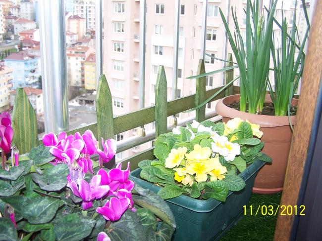 Name:  100_2673.jpg
Views: 746
Size:  68.5 KB