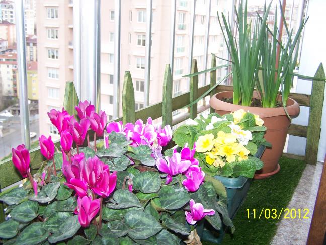 Name:  100_2674.jpg
Views: 726
Size:  70.1 KB