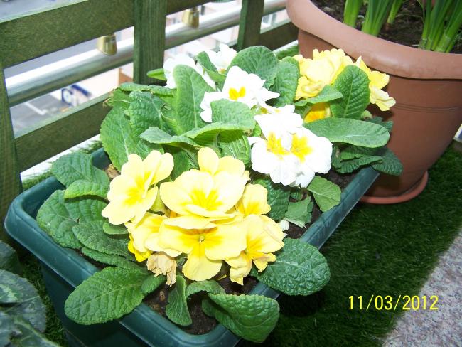 Name:  100_2676.jpg
Views: 720
Size:  63.4 KB