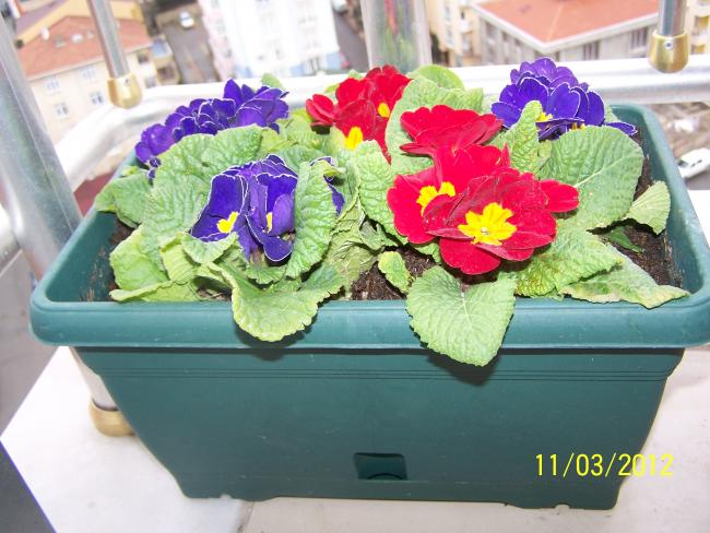 Name:  100_2690.jpg
Views: 752
Size:  54.8 KB