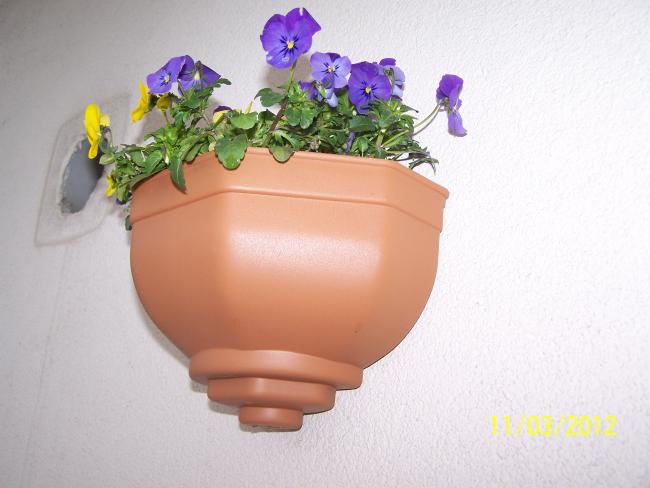 Name:  100_2687.jpg
Views: 803
Size:  35.2 KB