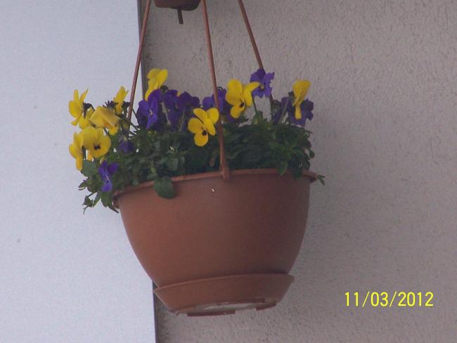 Name:  100_2689.jpg
Views: 748
Size:  30.7 KB