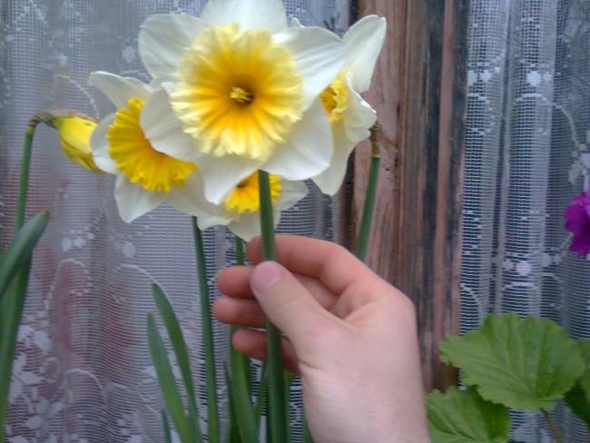 Name:  Fotoraf2011.jpg
Views: 710
Size:  45.0 KB