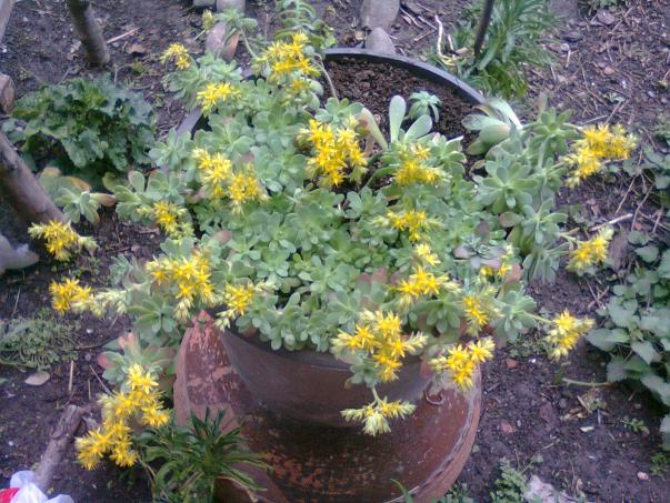 Name:  Fotoraf2007.jpg
Views: 712
Size:  71.7 KB
