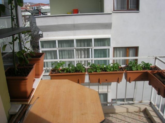 Name:  DSCN2900.jpg
Views: 2174
Size:  39.8 KB