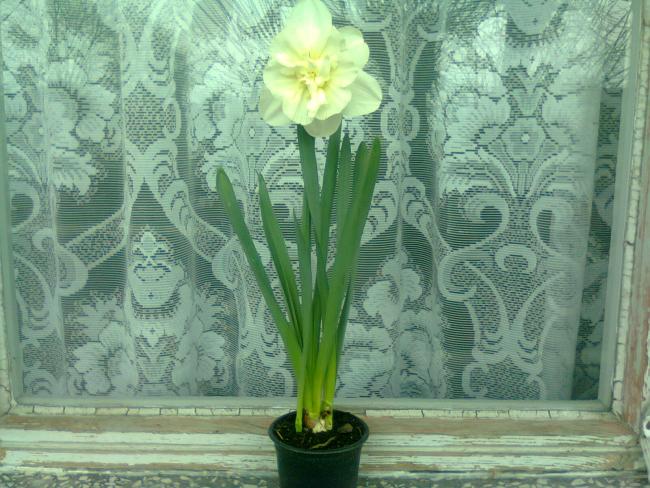 Name:  Fotoraf2058.jpg
Views: 678
Size:  63.2 KB
