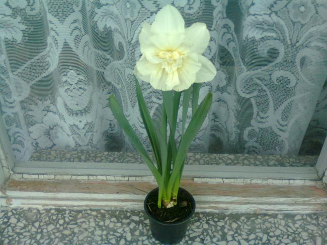 Name:  Fotoraf2059.jpg
Views: 665
Size:  57.3 KB