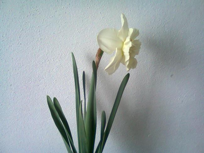 Name:  Fotoraf2062.jpg
Views: 736
Size:  42.3 KB