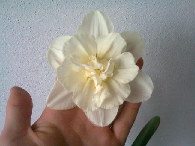 Name:  Fotoraf2063.jpg
Views: 708
Size:  34.9 KB