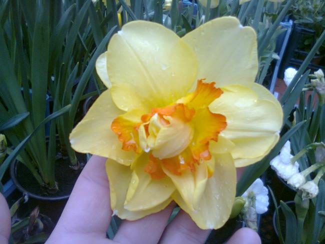 Name:  Fotoraf2068.jpg
Views: 776
Size:  41.3 KB