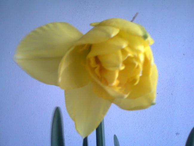 Name:  Fotoraf2080.jpg
Views: 747
Size:  22.8 KB