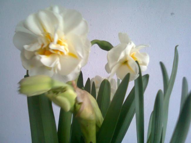 Name:  Fotoraf2075.jpg
Views: 764
Size:  28.7 KB