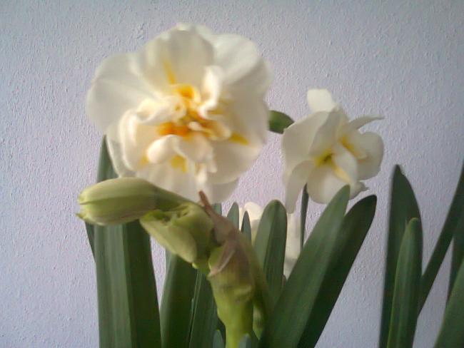 Name:  Fotoraf2085.jpg
Views: 783
Size:  34.3 KB