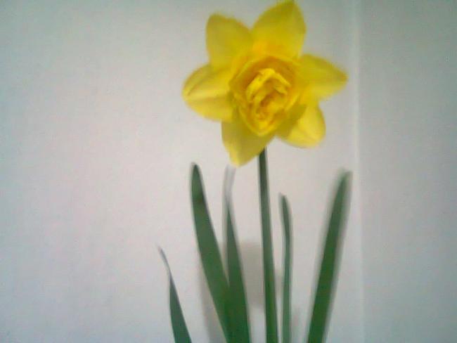 Name:  Fotoraf2093.jpg
Views: 715
Size:  19.1 KB