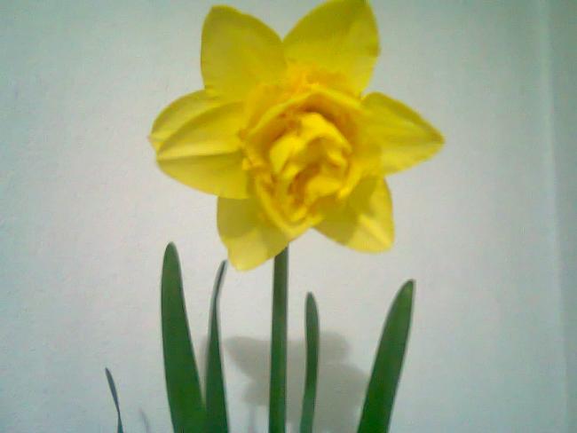 Name:  Fotoraf2094.jpg
Views: 711
Size:  22.1 KB