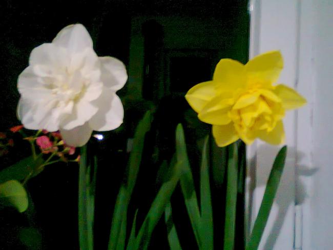 Name:  Fotoraf2096.jpg
Views: 692
Size:  31.3 KB
