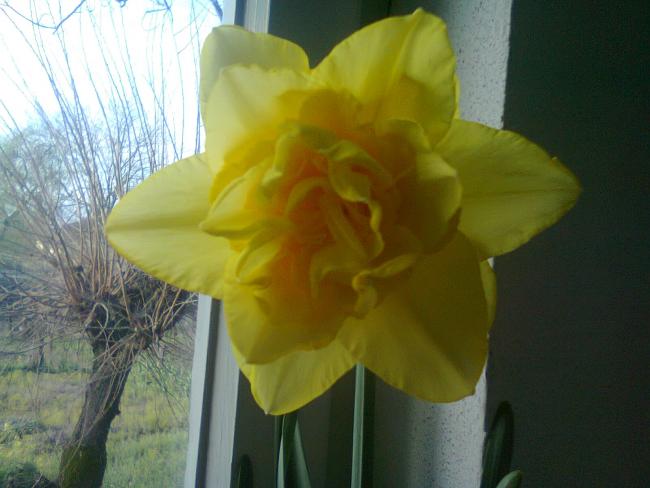 Name:  Fotoraf2099.jpg
Views: 725
Size:  37.5 KB
