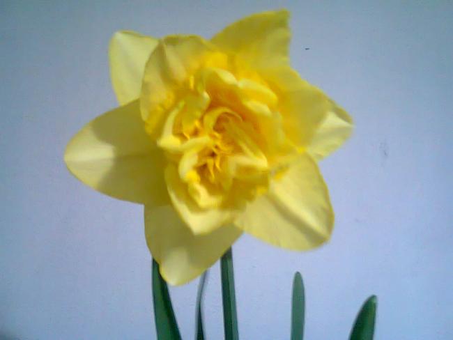 Name:  Fotoraf2102.jpg
Views: 756
Size:  20.8 KB